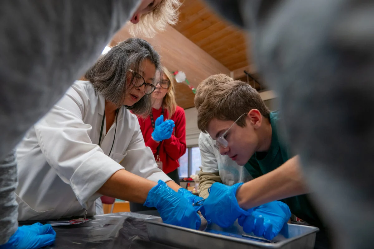 Teacher and students working in science class on the Sheep Heart project.